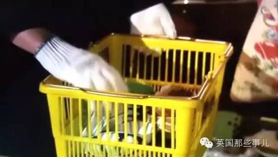 150年歷史的瓷器工廠,在這你可以找到尋寶的感覺